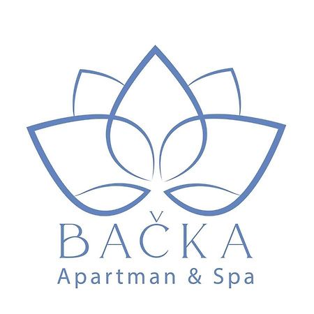 דירות Bačka Palanka Apartman Spa Backa מראה חיצוני תמונה