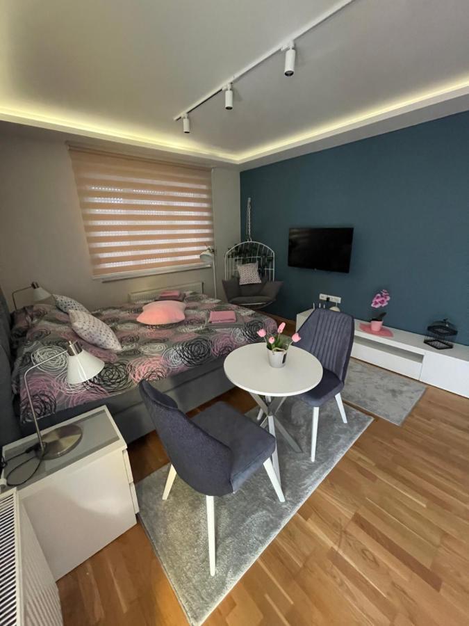 דירות Bačka Palanka Apartman Spa Backa מראה חיצוני תמונה